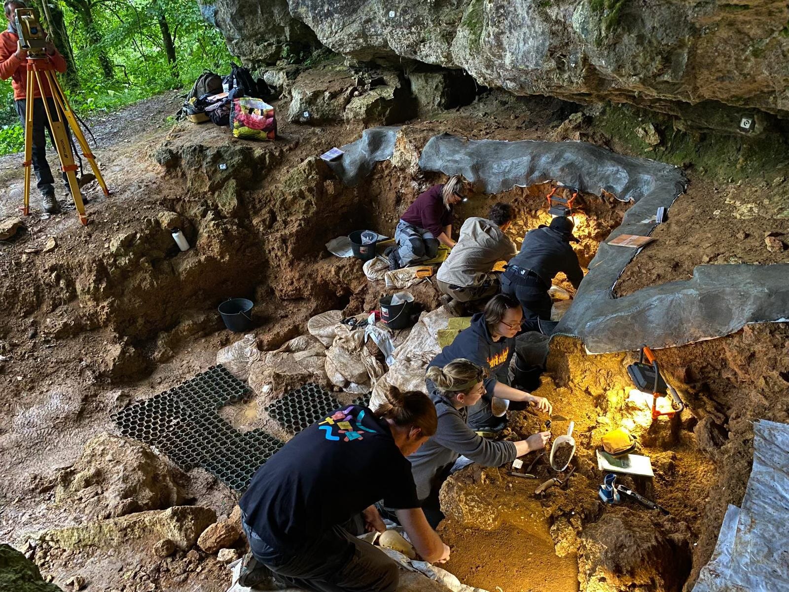 One Lineage to Rule Them All: The Last Neanderthals Were Descended from a Single Refugium Population episode artwork