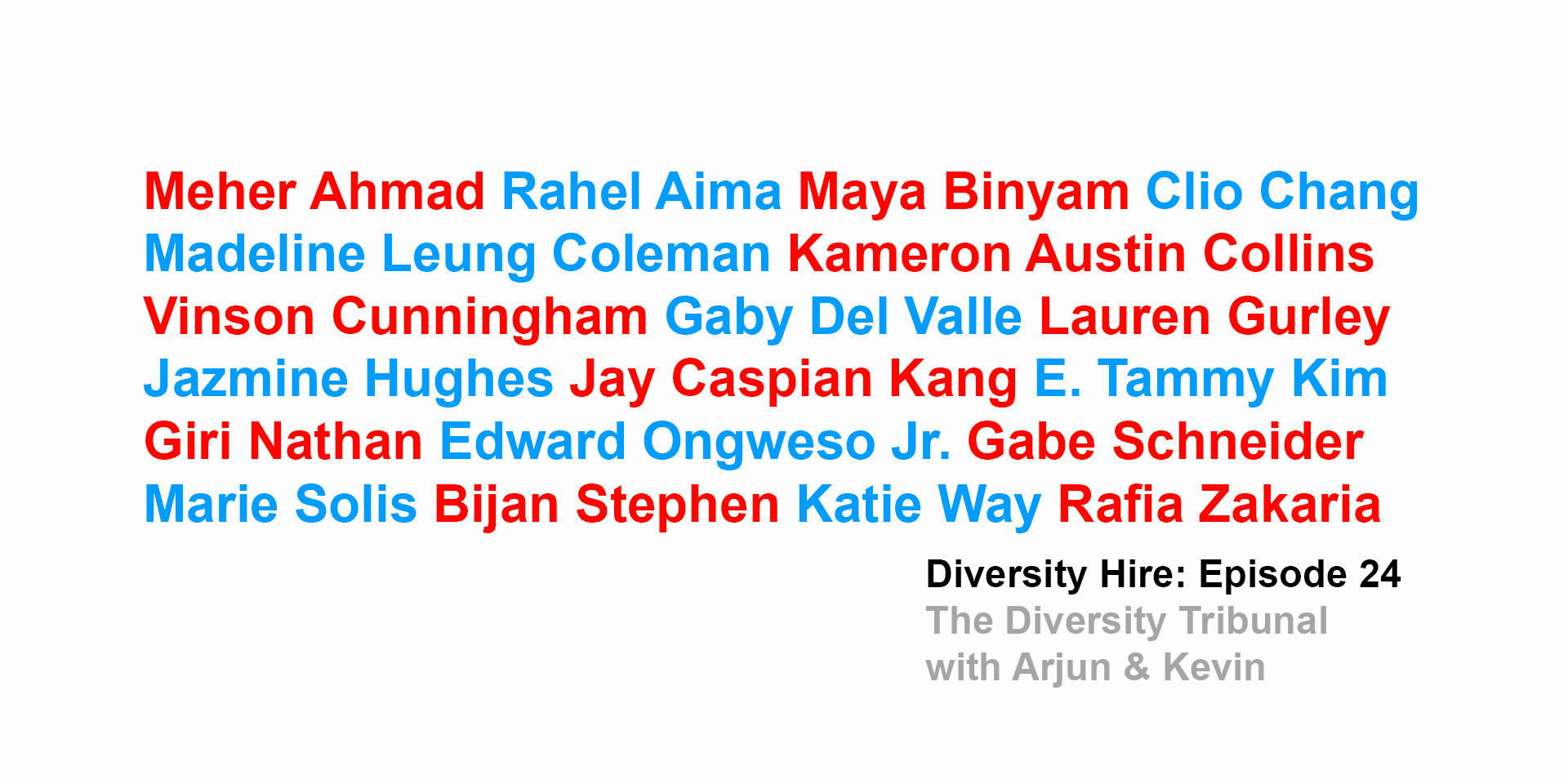 Episode 24 - The Diversity Tribunal with Arjun & Kevin & Guests