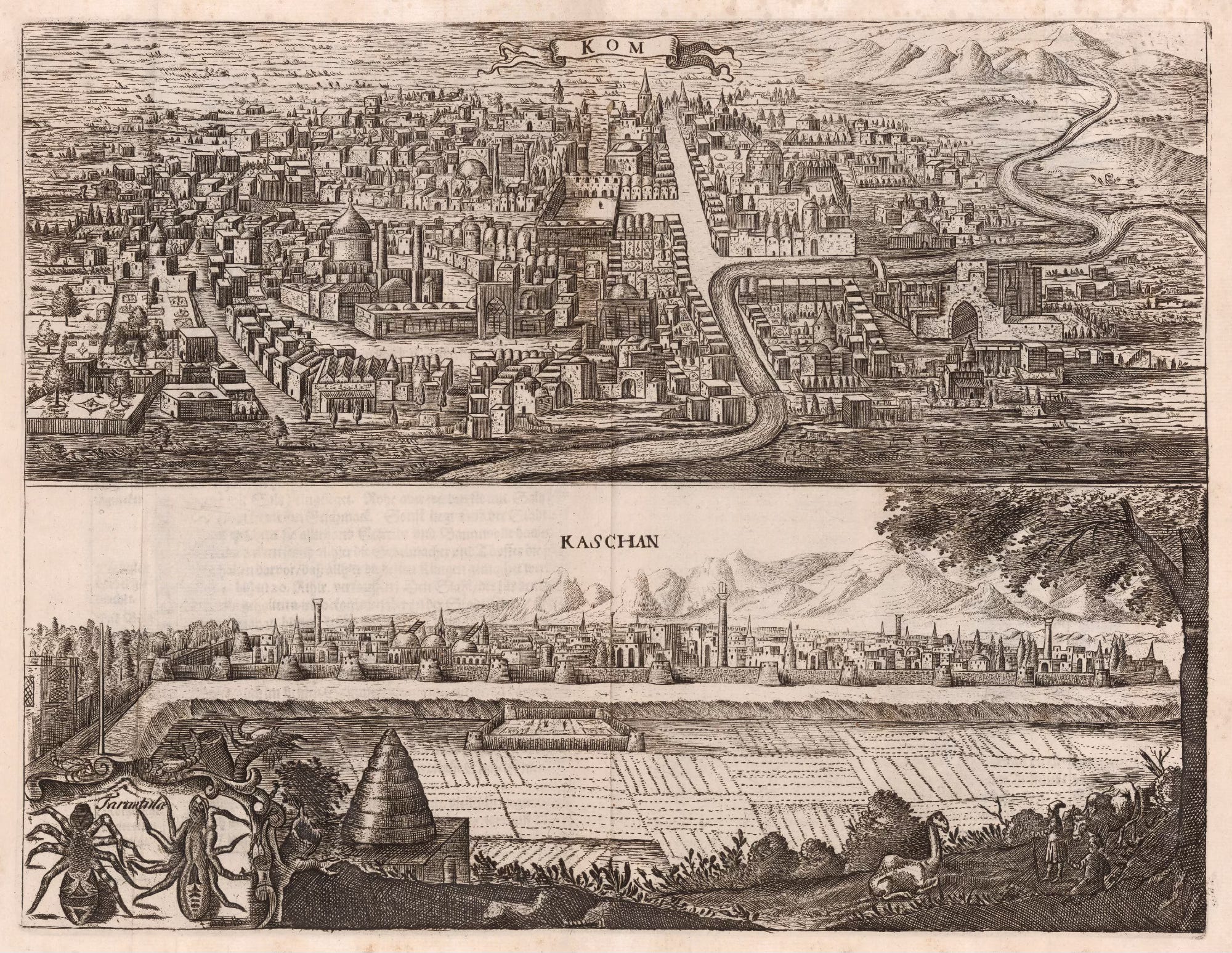 The Voyages and Travels of the Ambassadors