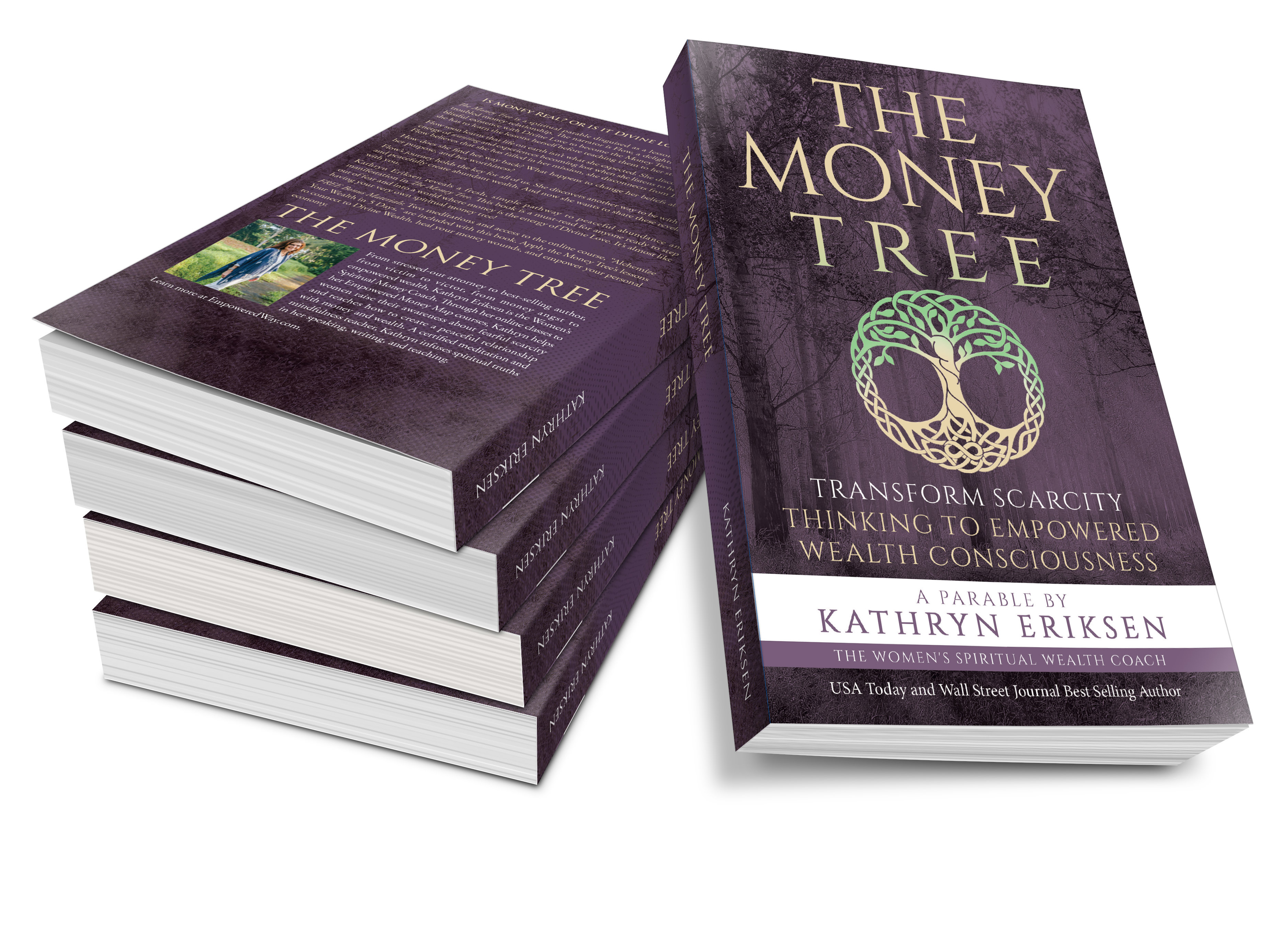 What if Money isn't the Problem? episode artwork