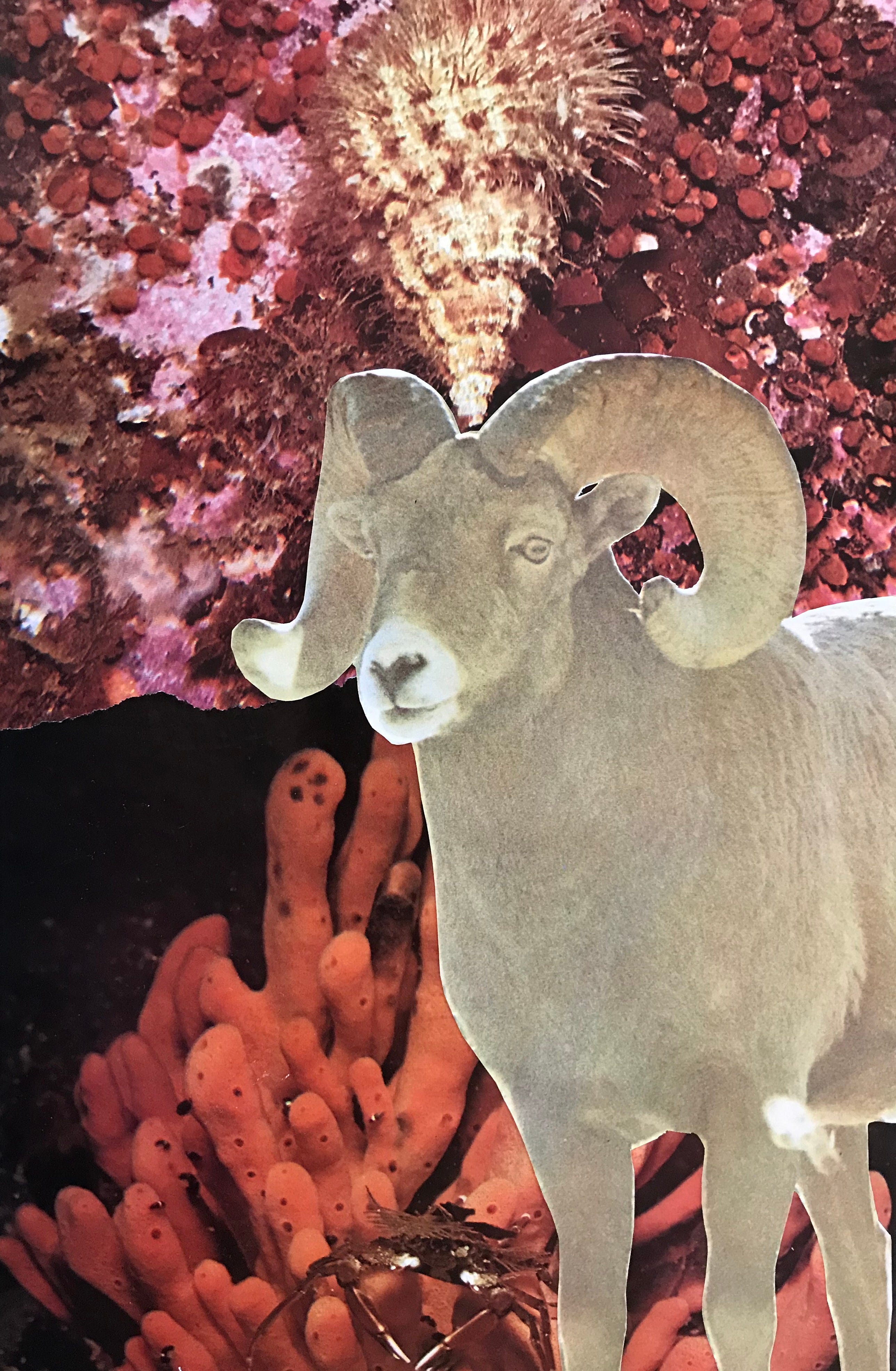 The Embodied Aquarian Age