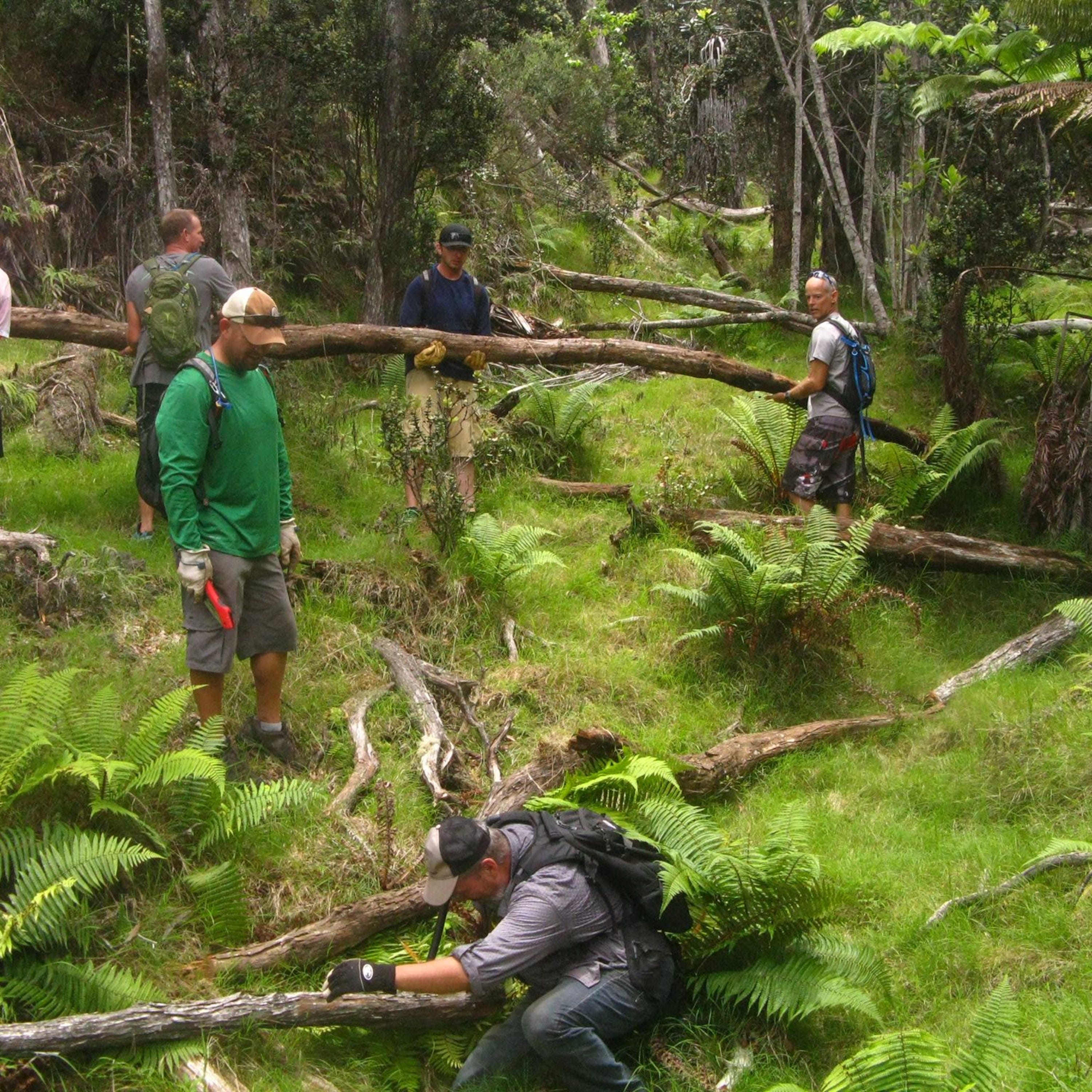 Emily T Gail Talk Story