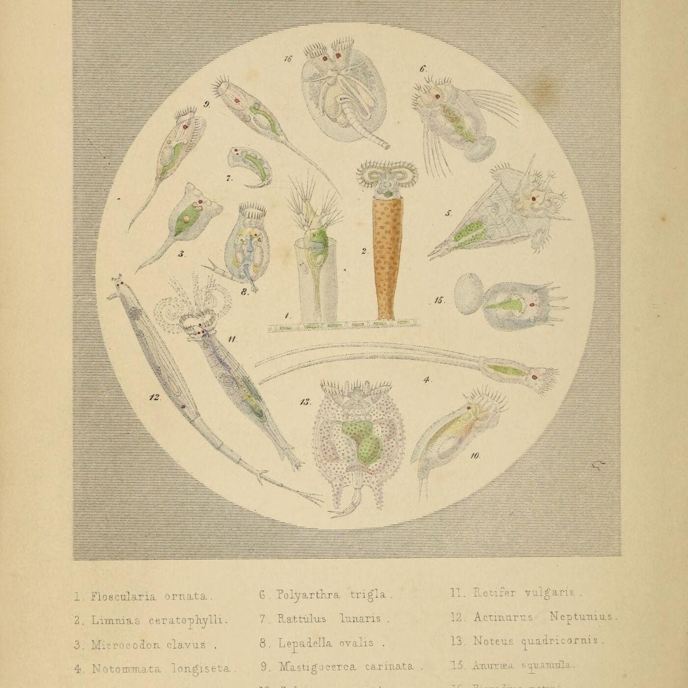 What Then Must We Do?