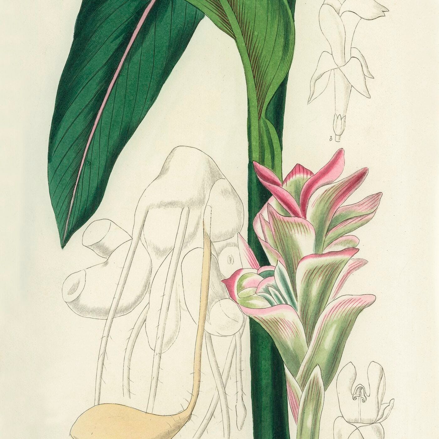 What Then Must We Do?