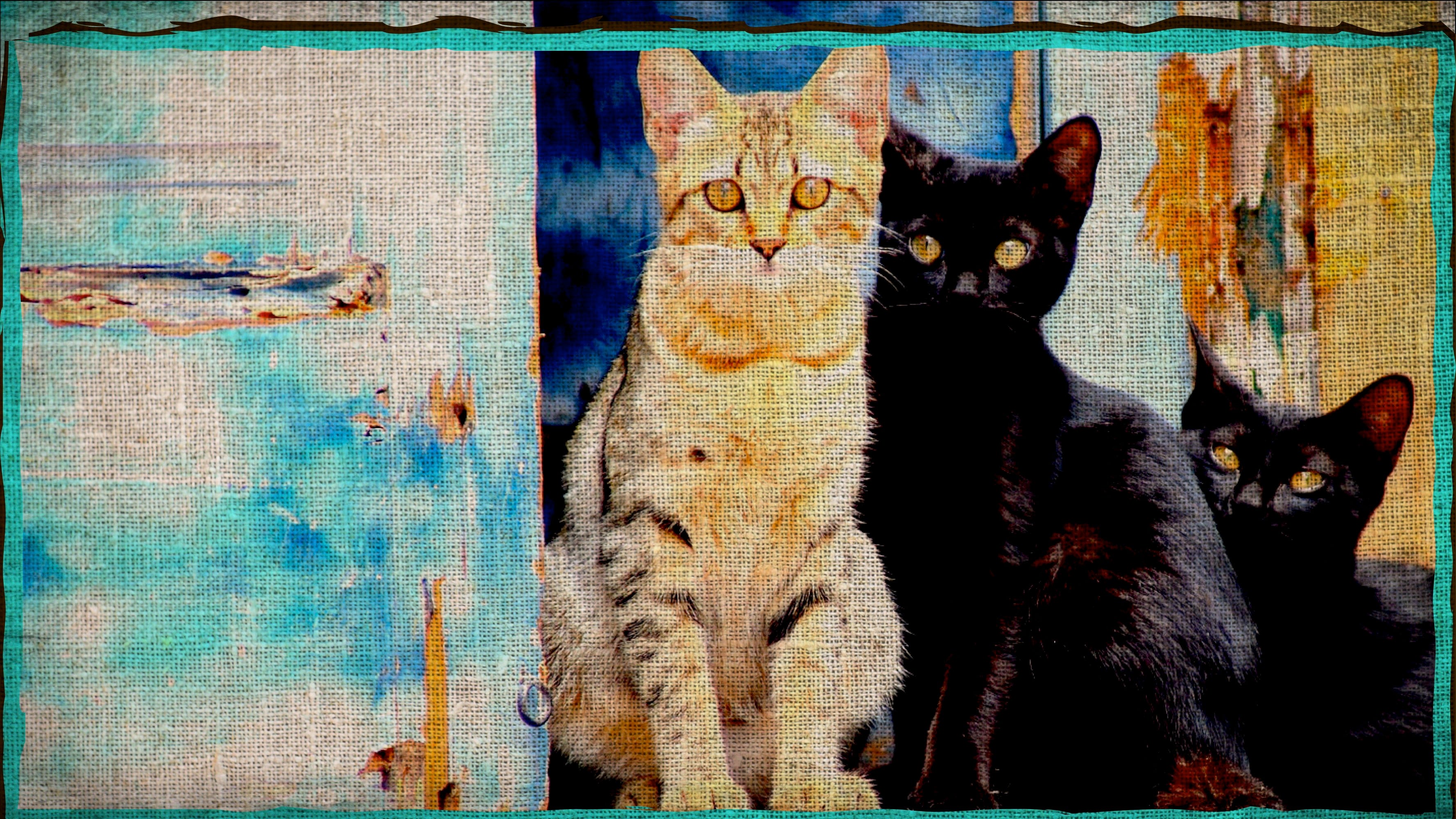 jills journals outloud