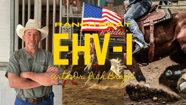 RANCH BEAT: What You Should Know About EHV-1 with Dr. Rich Brazil