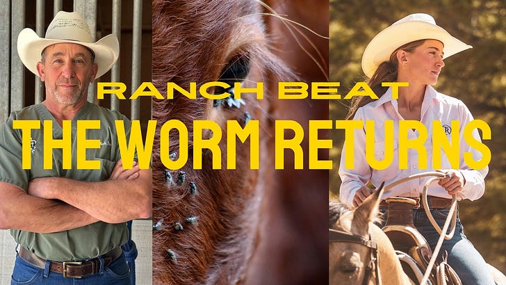 RANCH BEAT: New World Screwworm Is Back