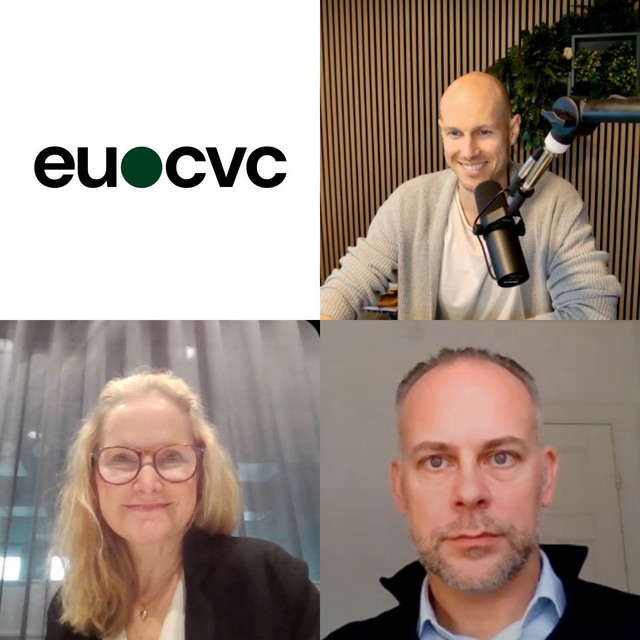The European VC