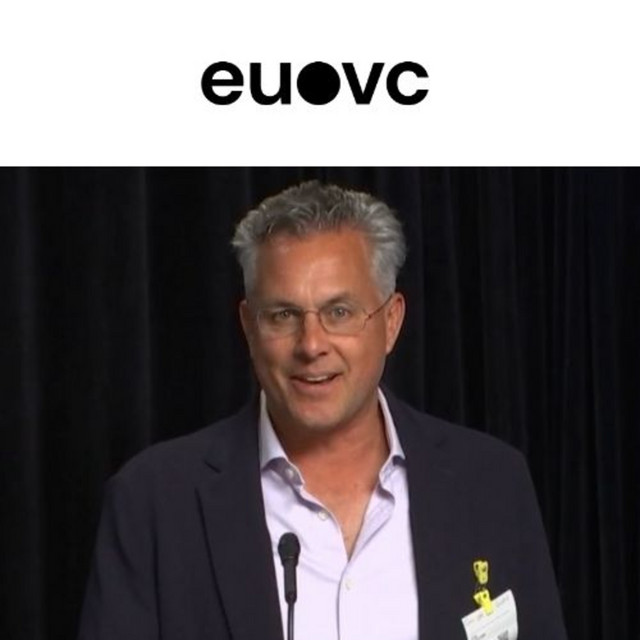 The European VC