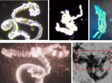 What is in the so-called COVID-19 “vaccines”? Evidence of a Global Crime Against Humanity - Video Presentation episode artwork