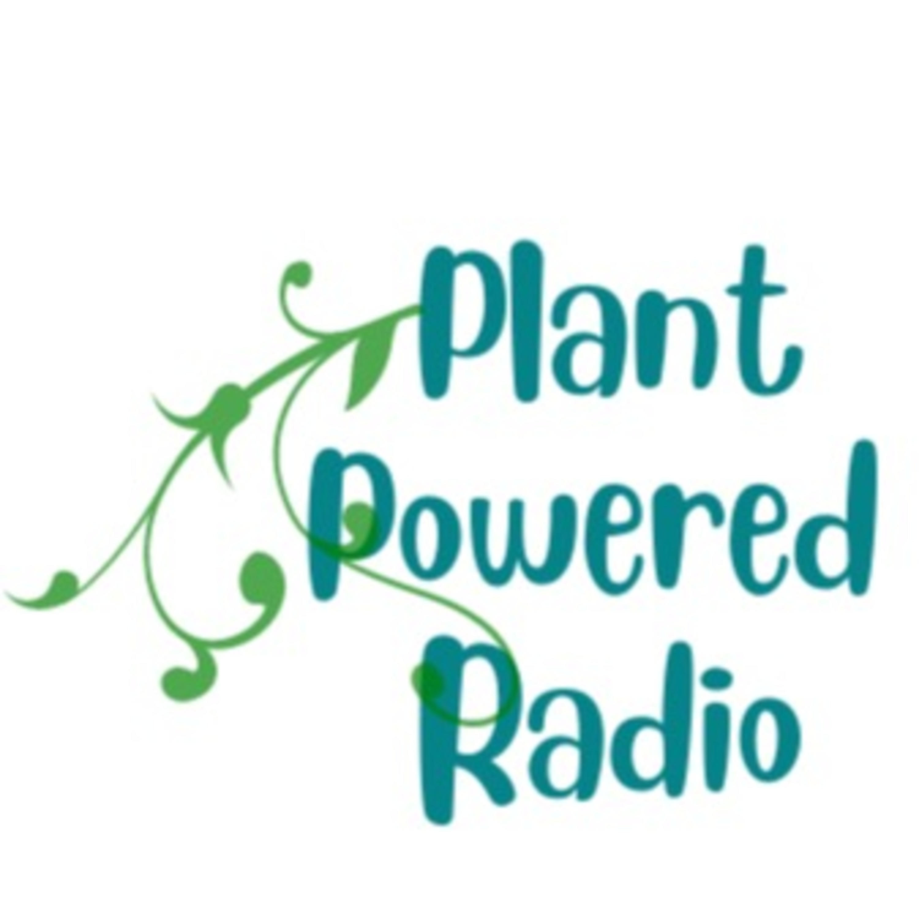 Plant Powered Radio