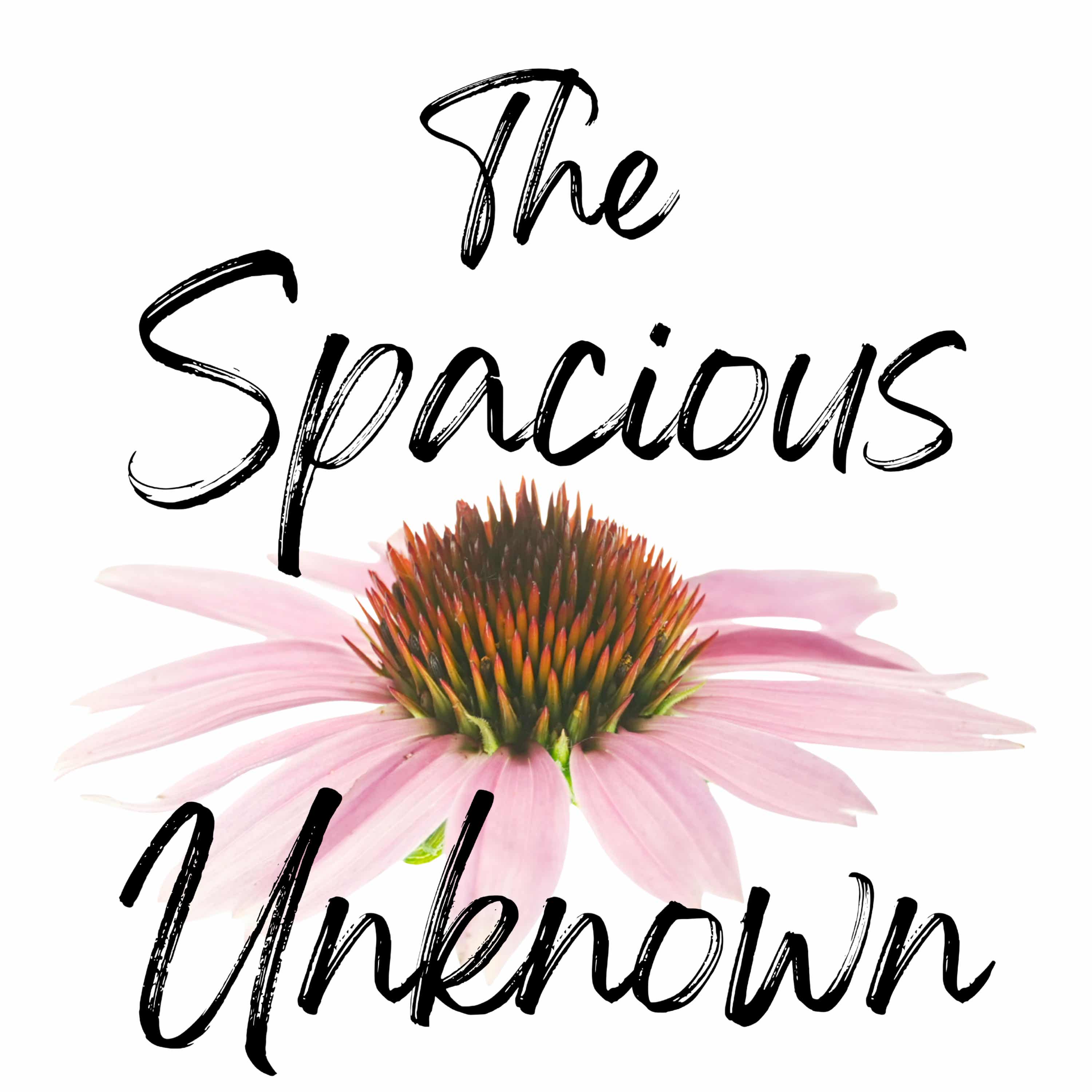 The Spacious Unknown