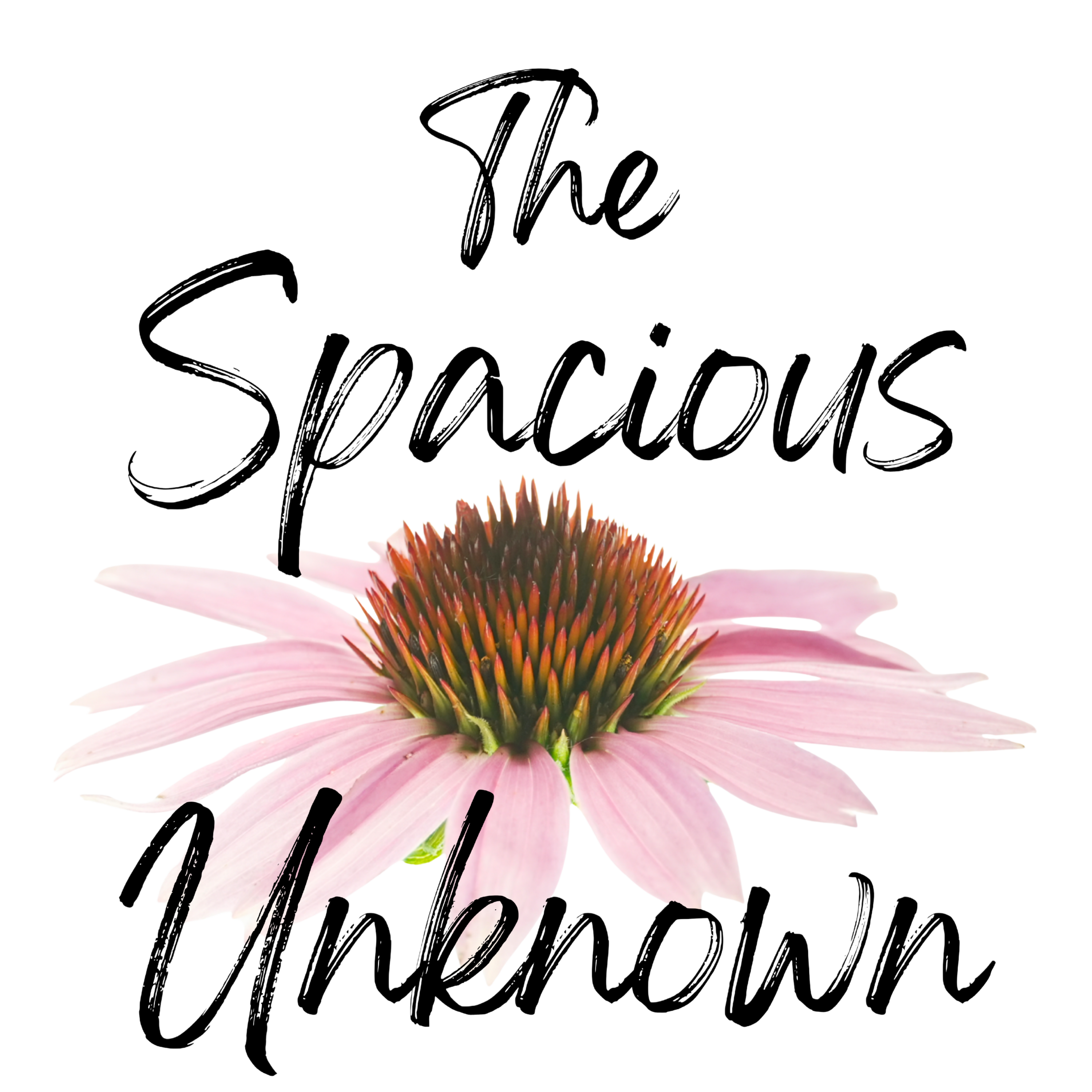 Welcome to the Spacious Unknown episode artwork