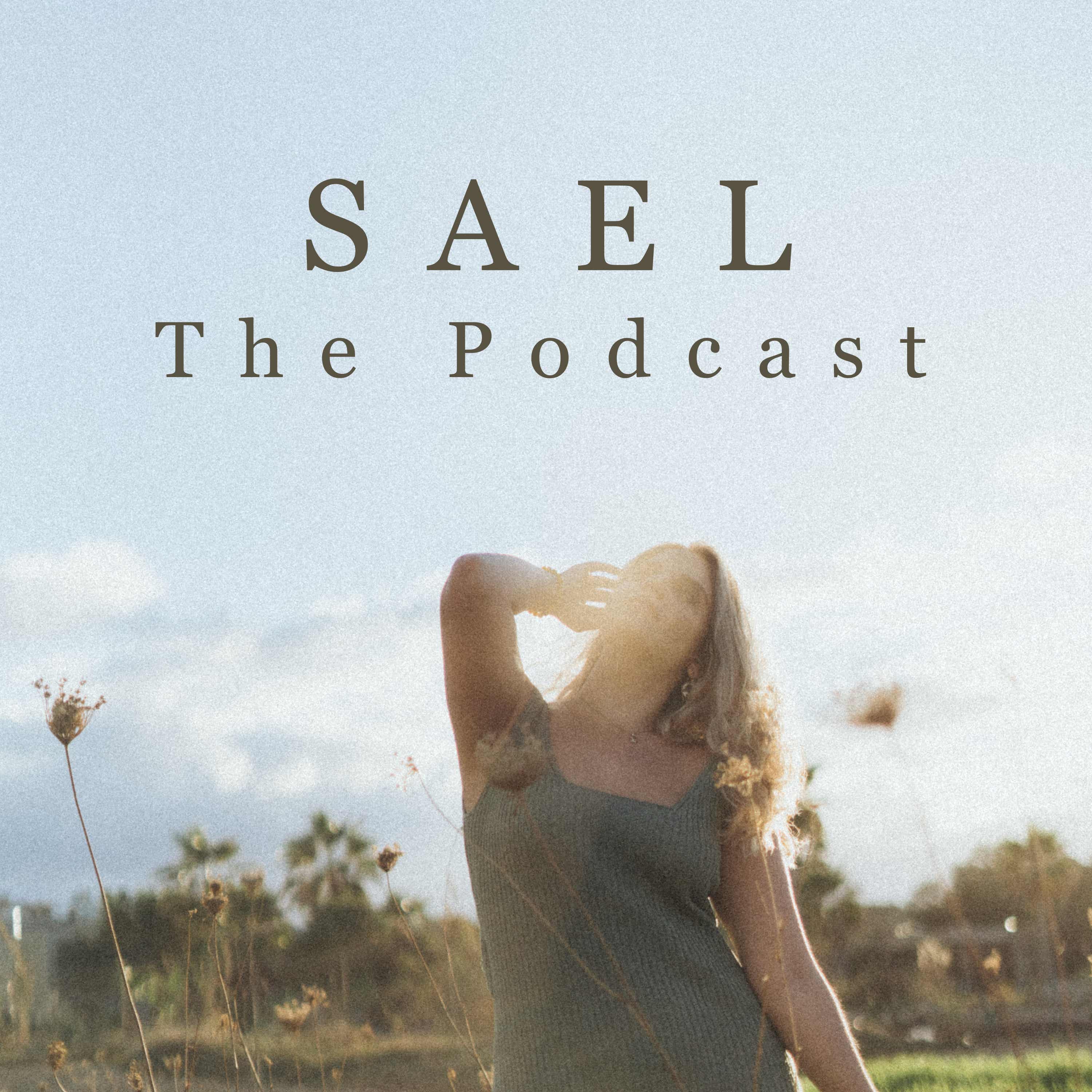 The SAEL Podcast cover art