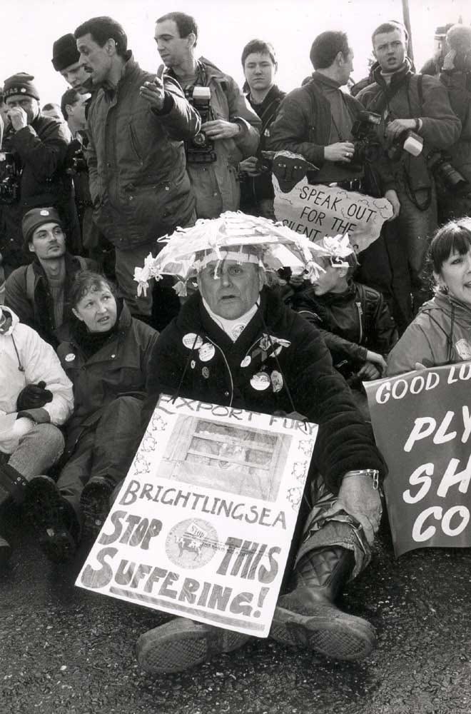 Meat-Eating Grandmothers Blocked Trucks for Sheep. Can It Happen Again?