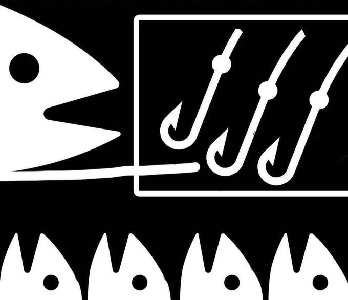 🌻 don't take the bait