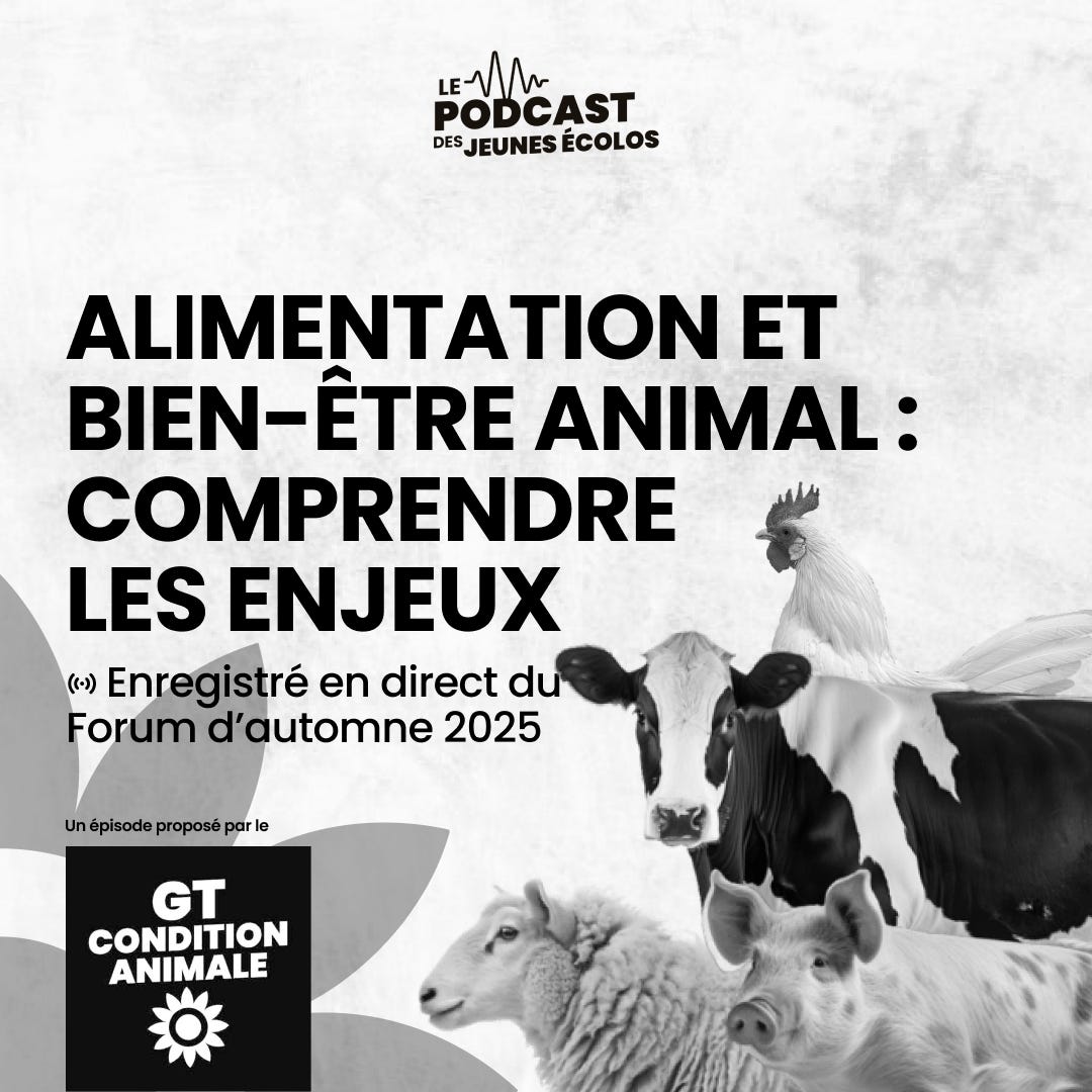 Alimentation et bien-être animal : les enjeux episode artwork