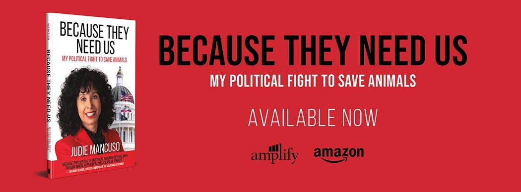 Global Wins for Animals & New Laws Protecting Pets - Because They Need Us with Judie Mancuso episode artwork