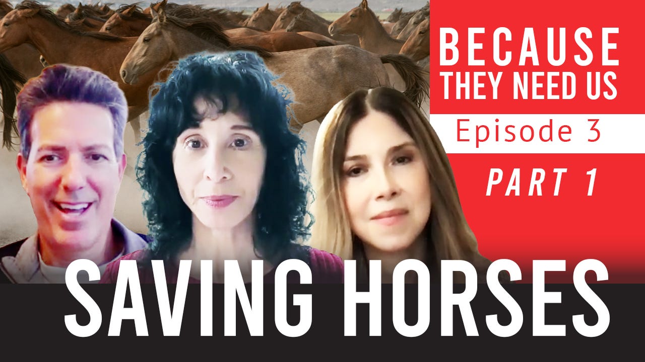 Part 1 : Protecting Horses with the SAFE Act - Because They Need Us with Judie Mancuso episode artwork