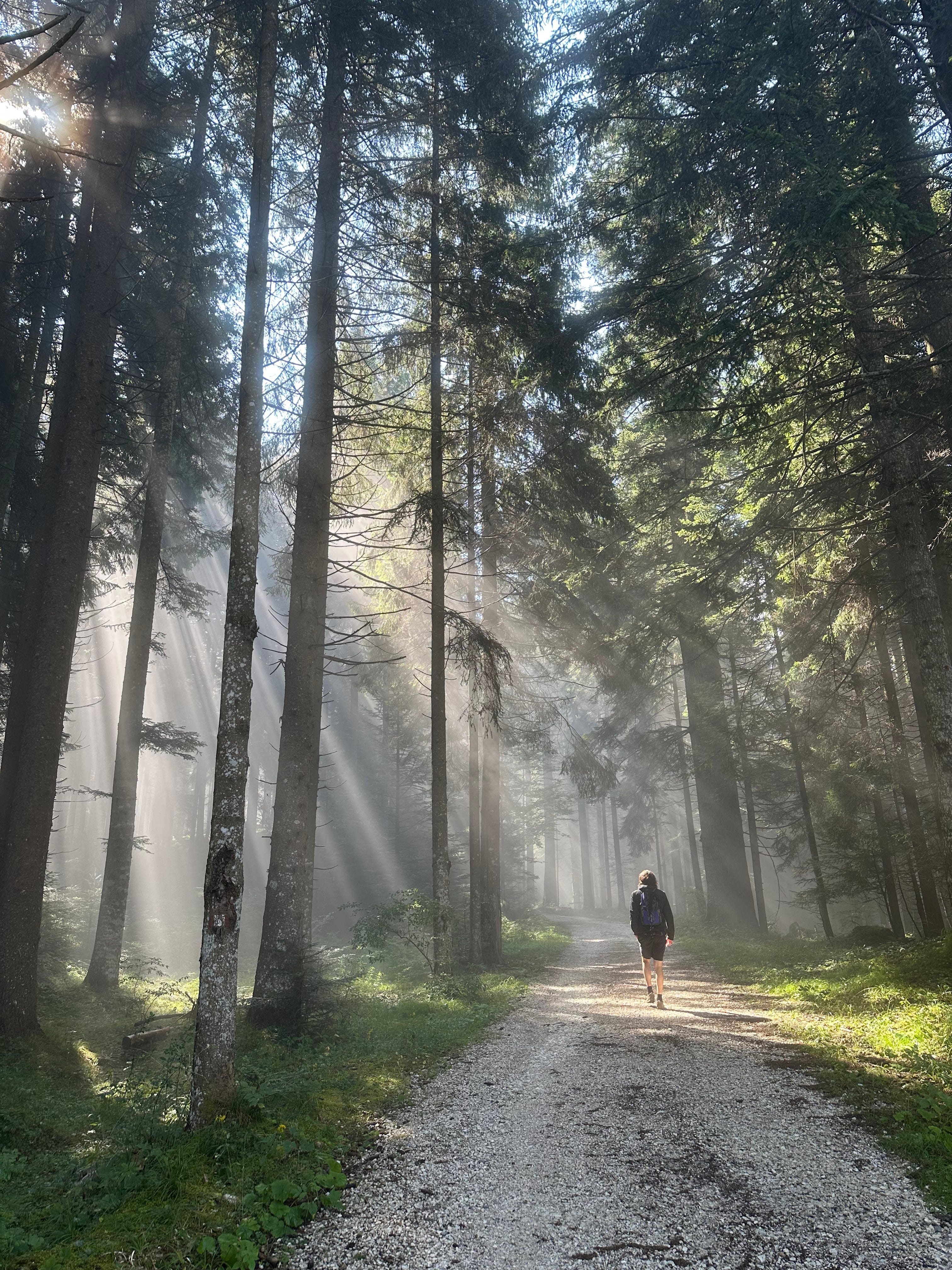 🙉 A1/A2 | Dolomiti: bellezze e confini episode artwork