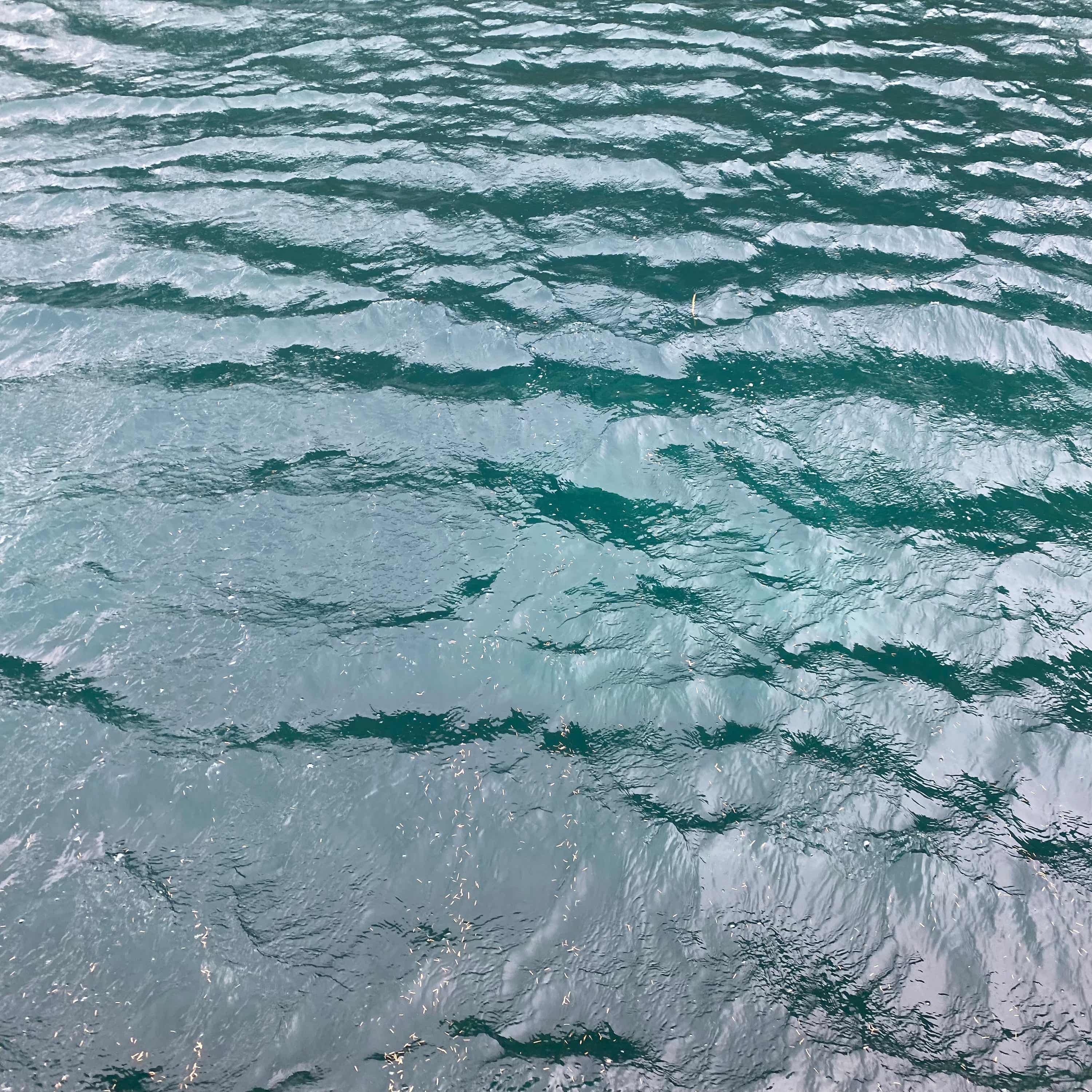 Mariculture Minute cover art