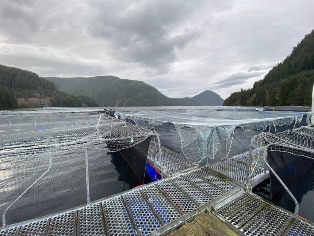 Tales of an Alaskan Hatchery