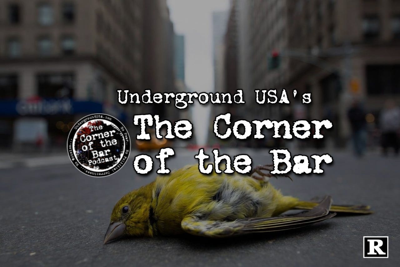 🎧 New York City As The Canary In The Political Coal Mine episode artwork