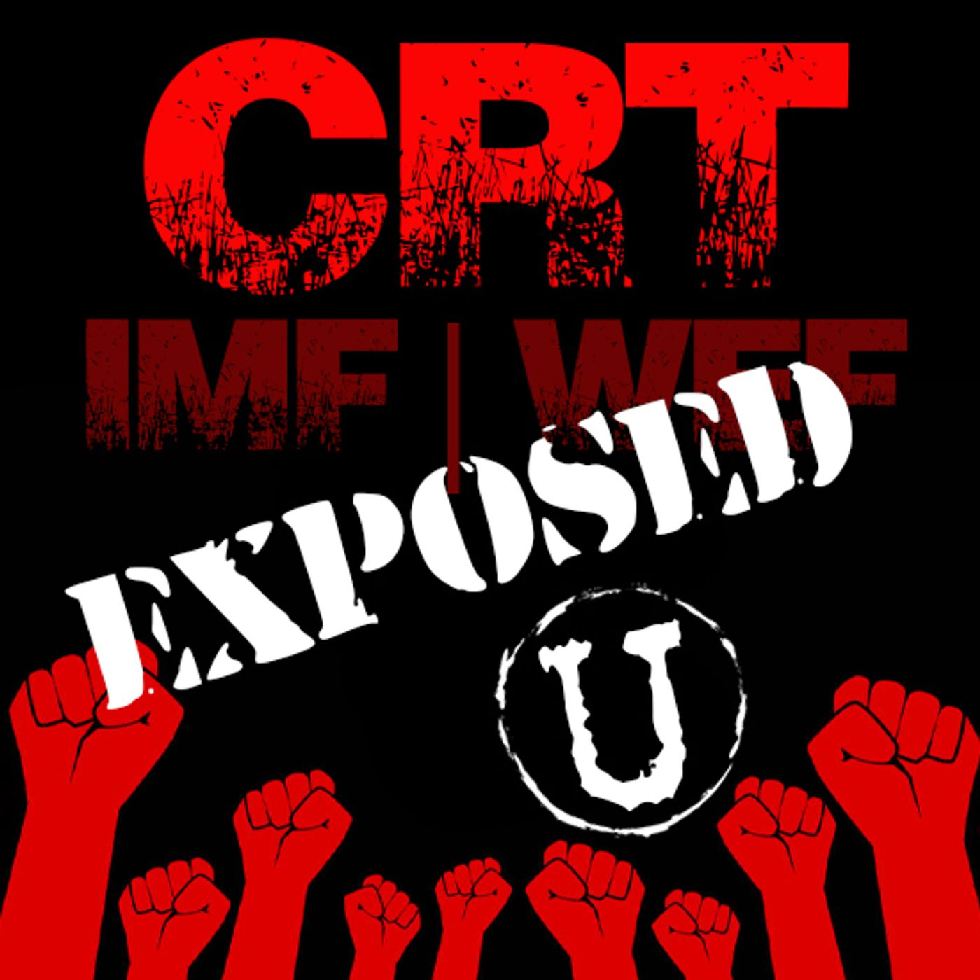 INTERVIEW: CRT, IMF & WEF: The Hostile Takeover of the United States