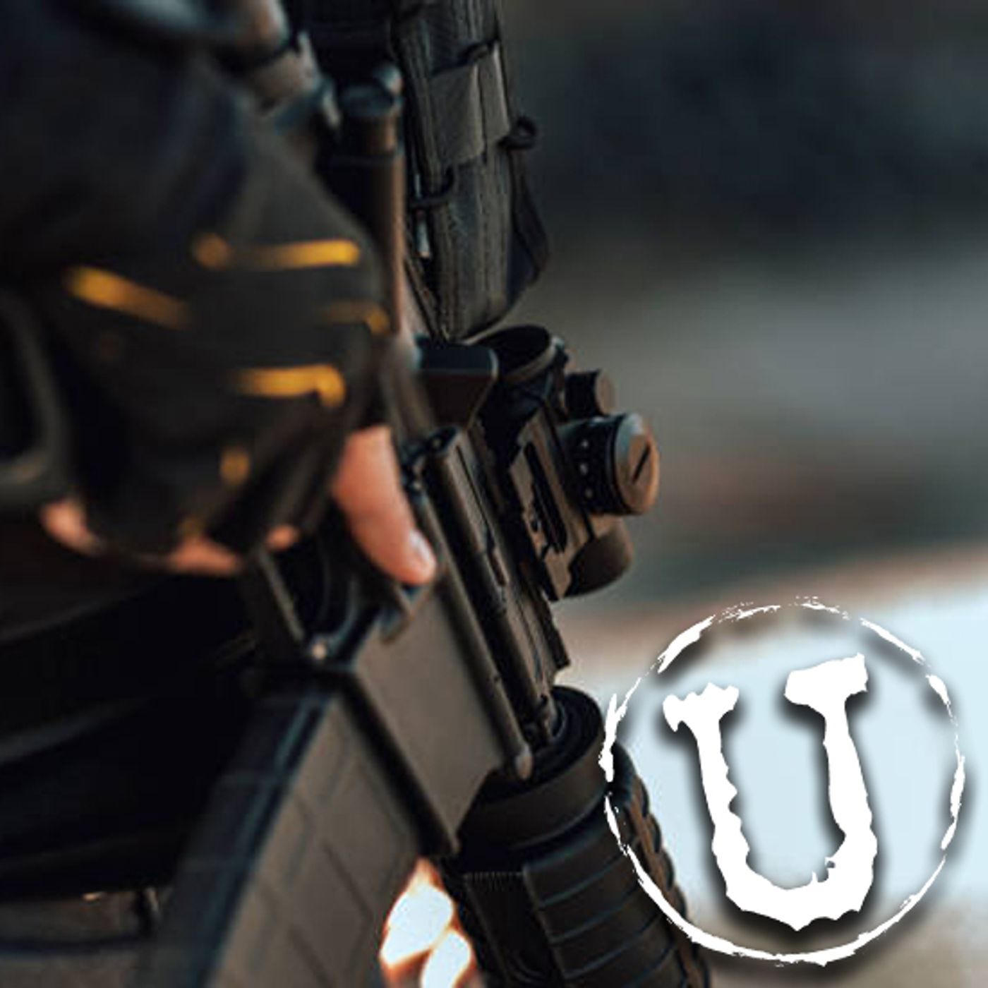 When Private Citizens Step In to Do What a Failed Administration Was Elected to Do