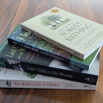 Fiction Faeries Podcast