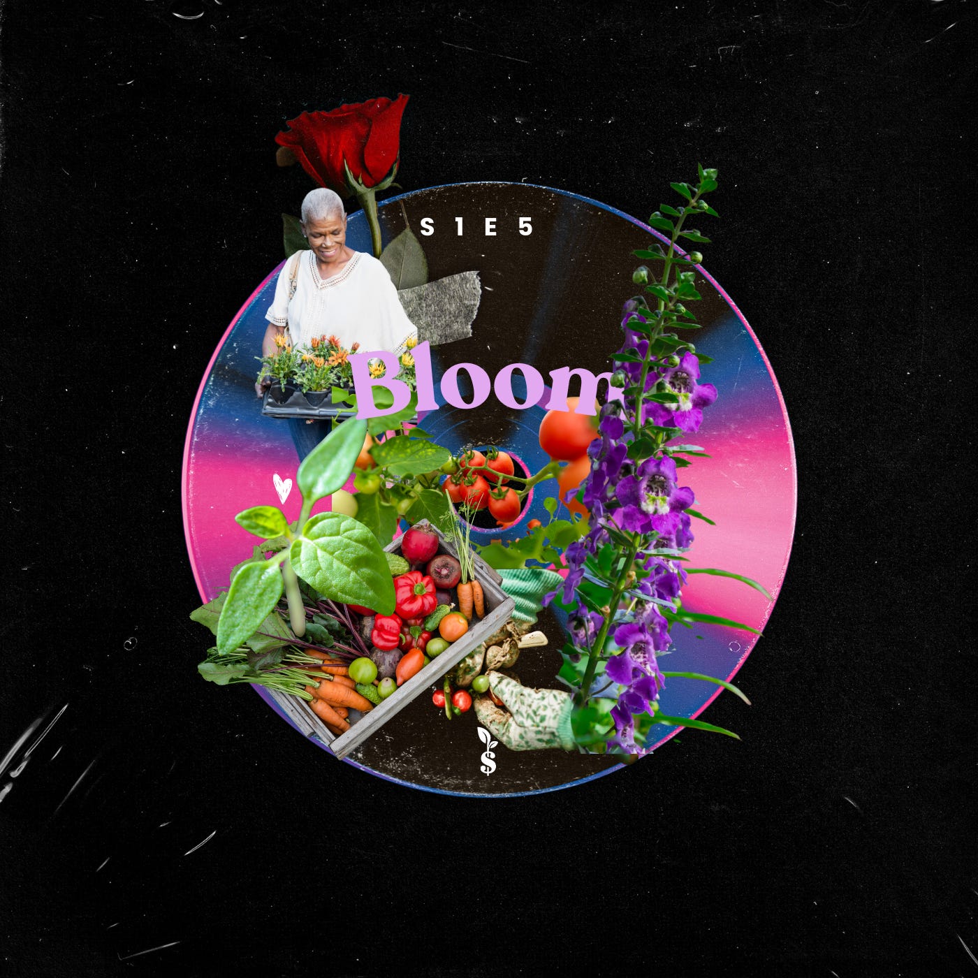 “Urban Farming w/ Crop Swap LA” episode artwork