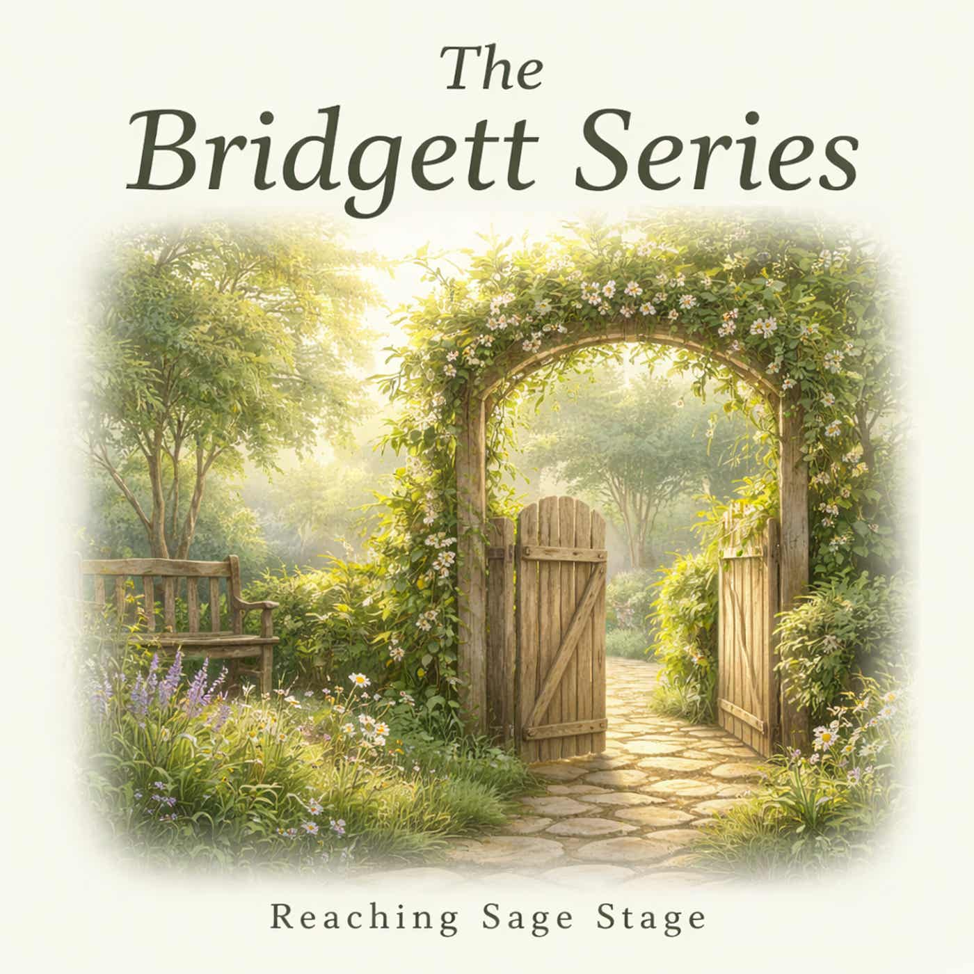 The Bridgett Series podcast artwork