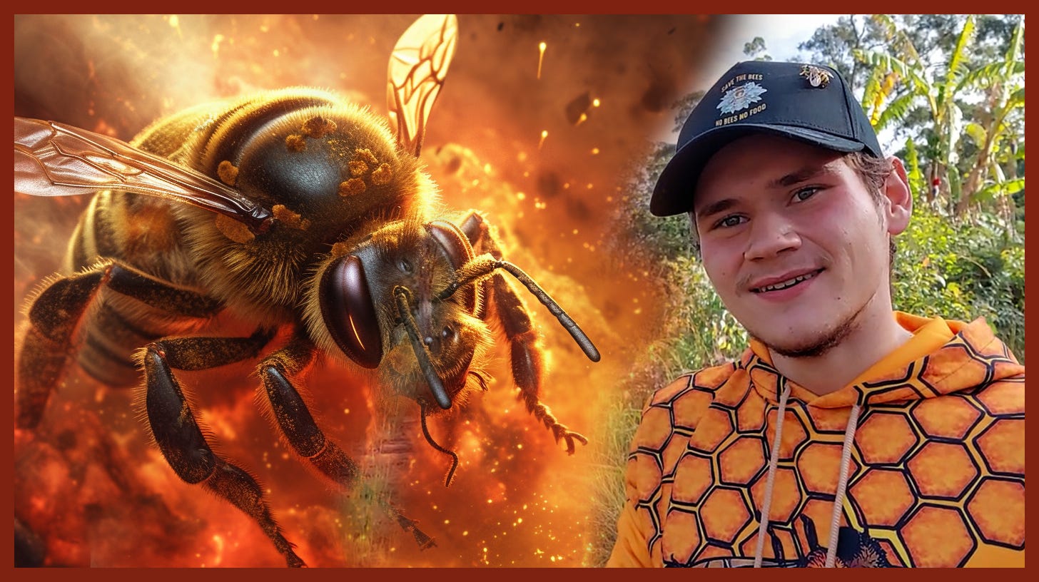 James The Passionate Defender of Australian Bees_ With Q&A Afterwards  episode artwork