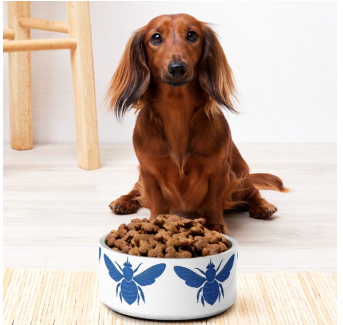 Cafe’s Locked Out Mailing List