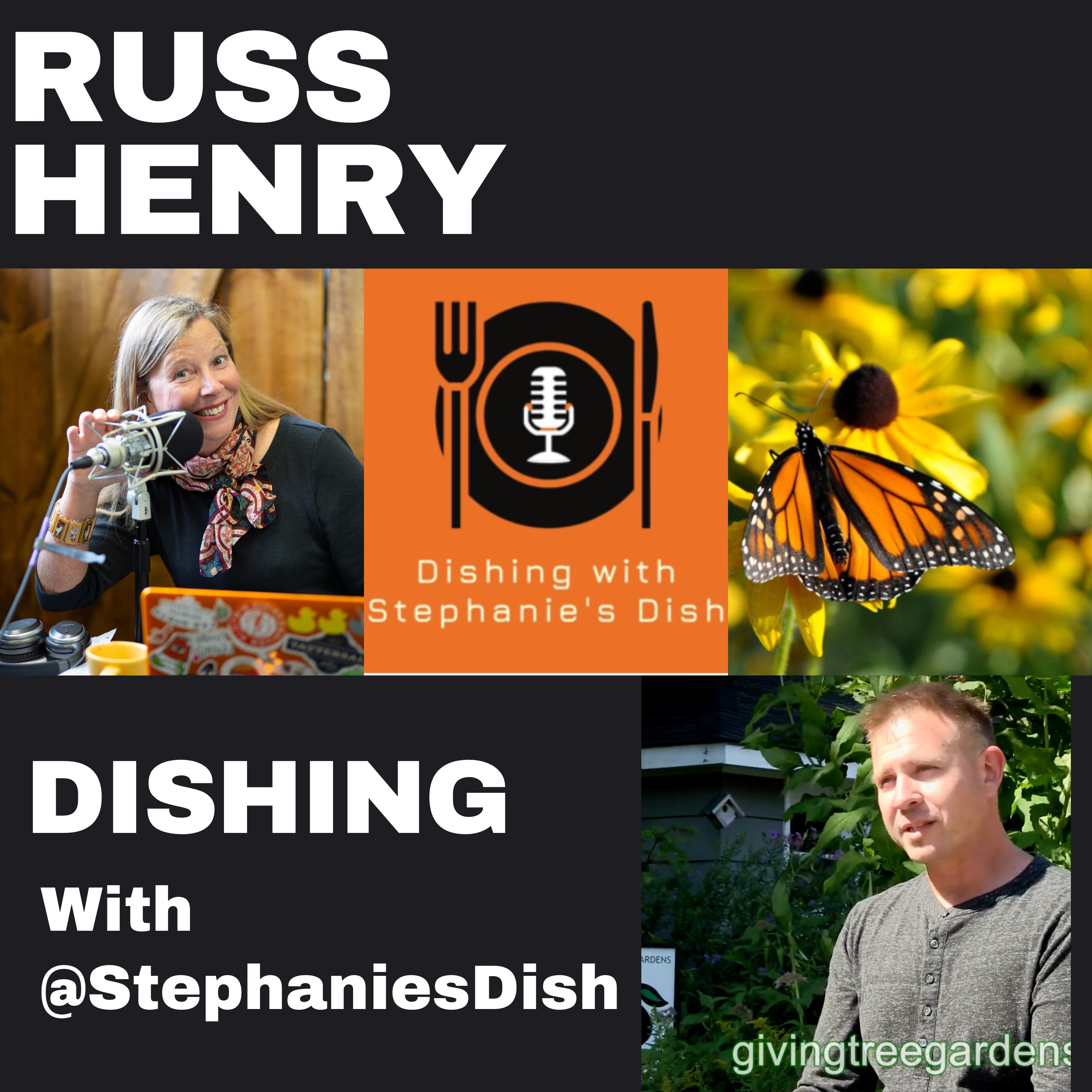 Dishing with Stephanie\'s Dish