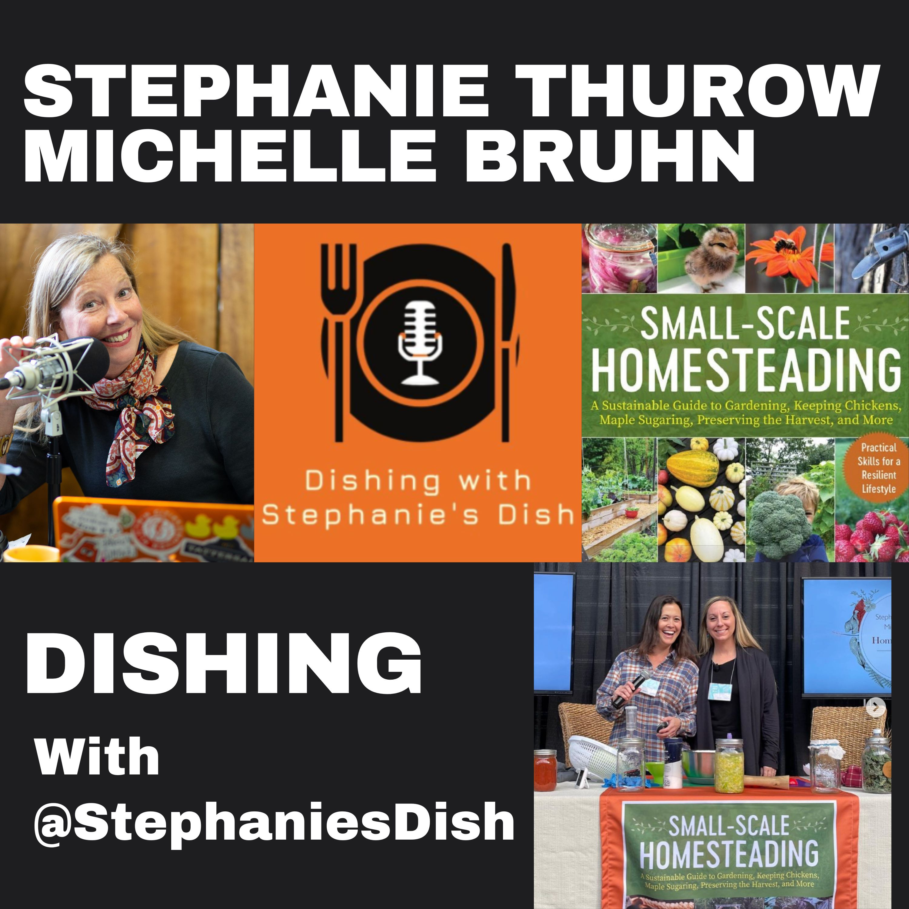 Dishing with Stephanie\'s Dish