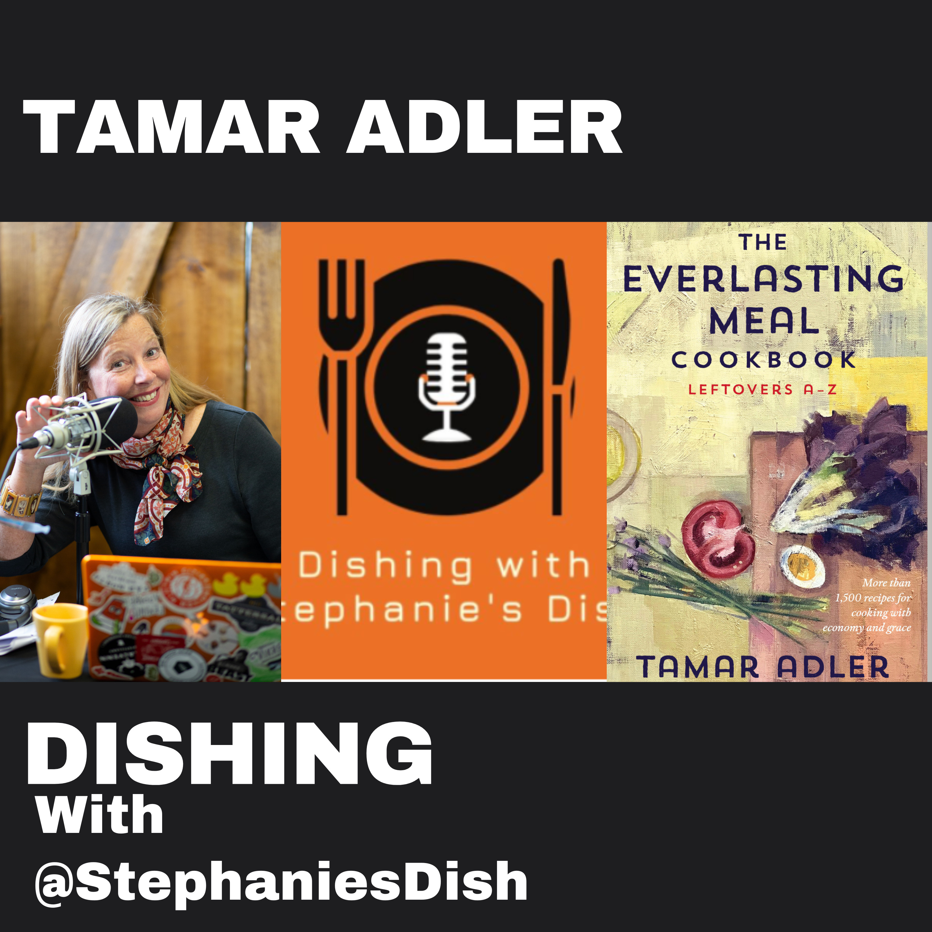 Dishing with Stephanie\'s Dish