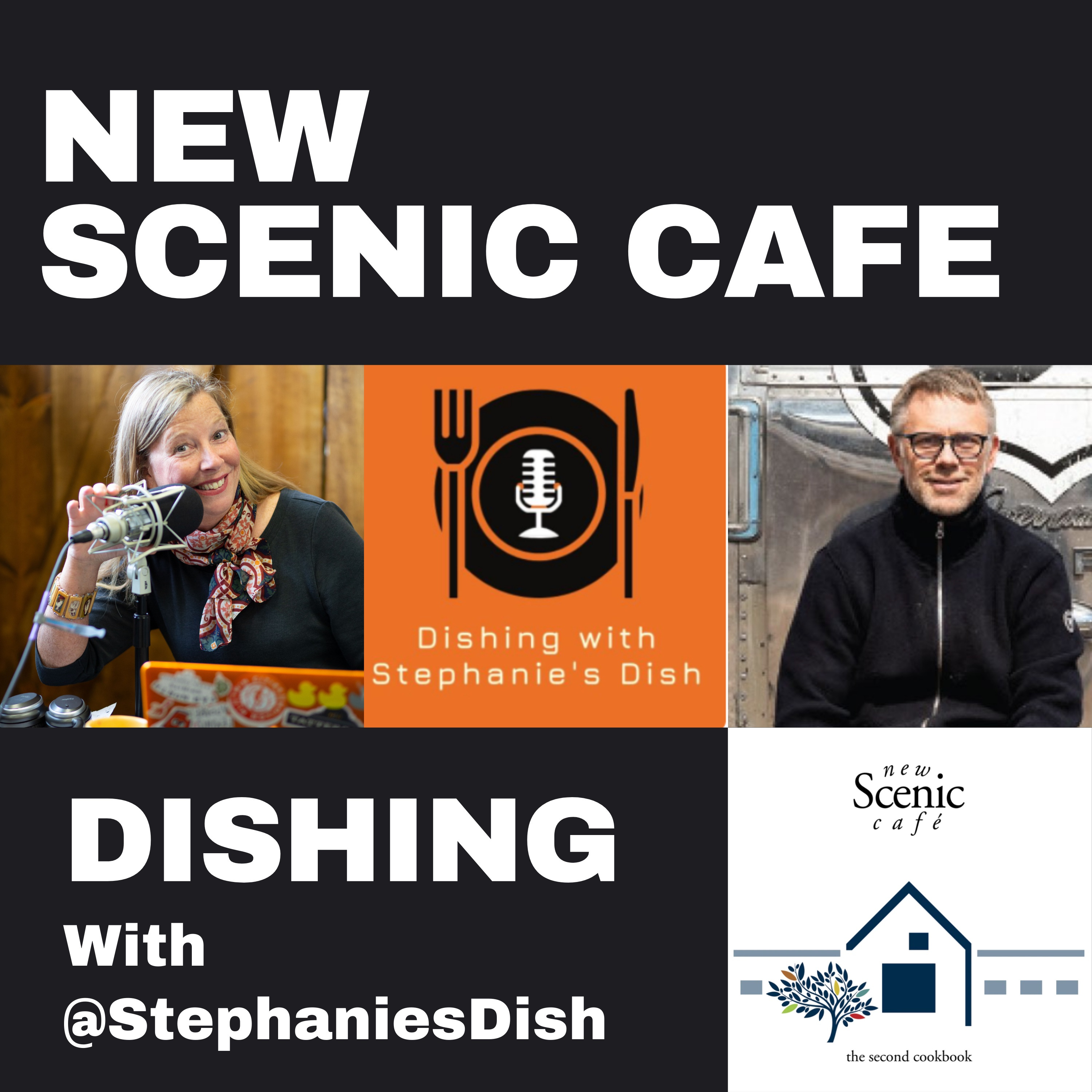 Dishing with Stephanie\'s Dish