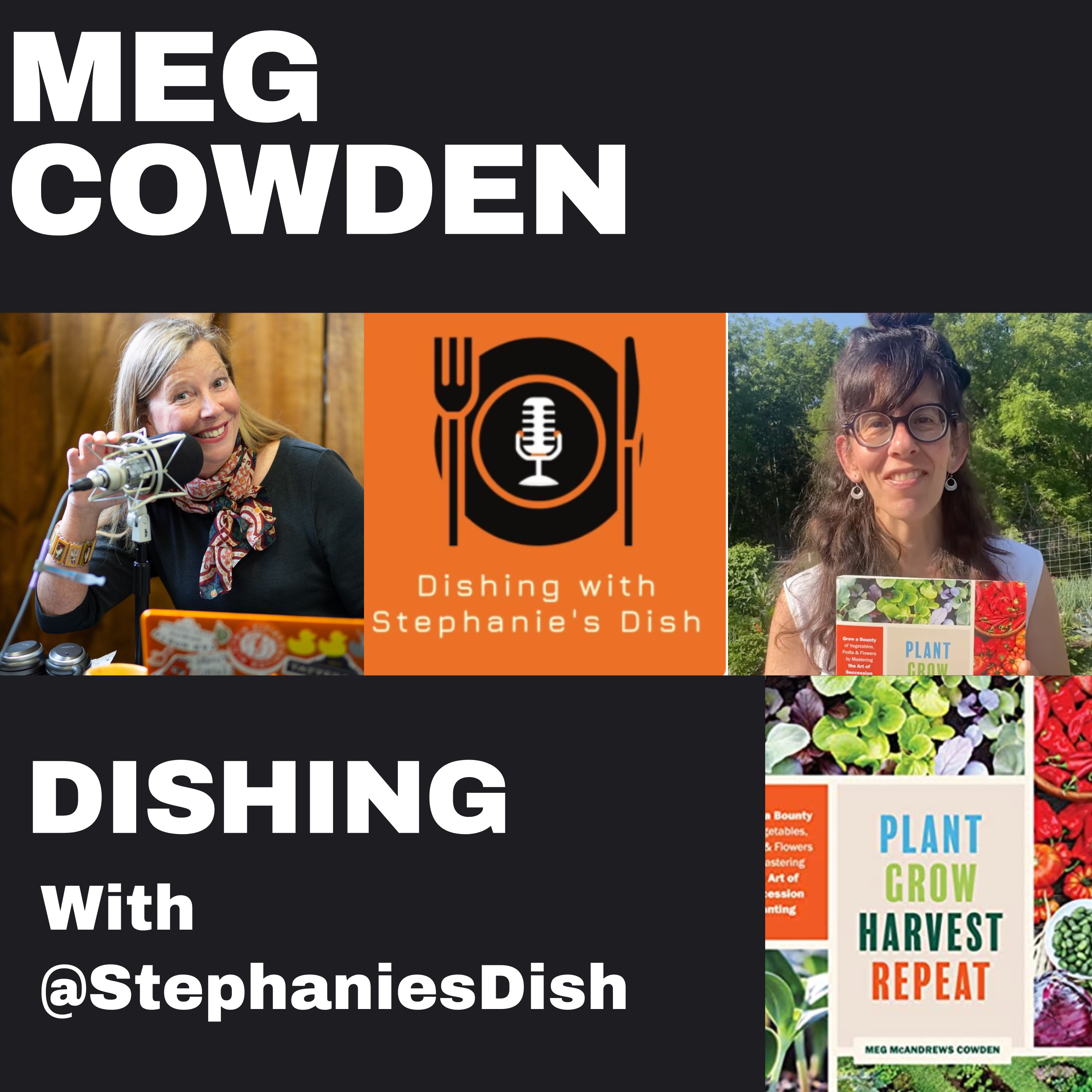 Dishing with Stephanie\'s Dish