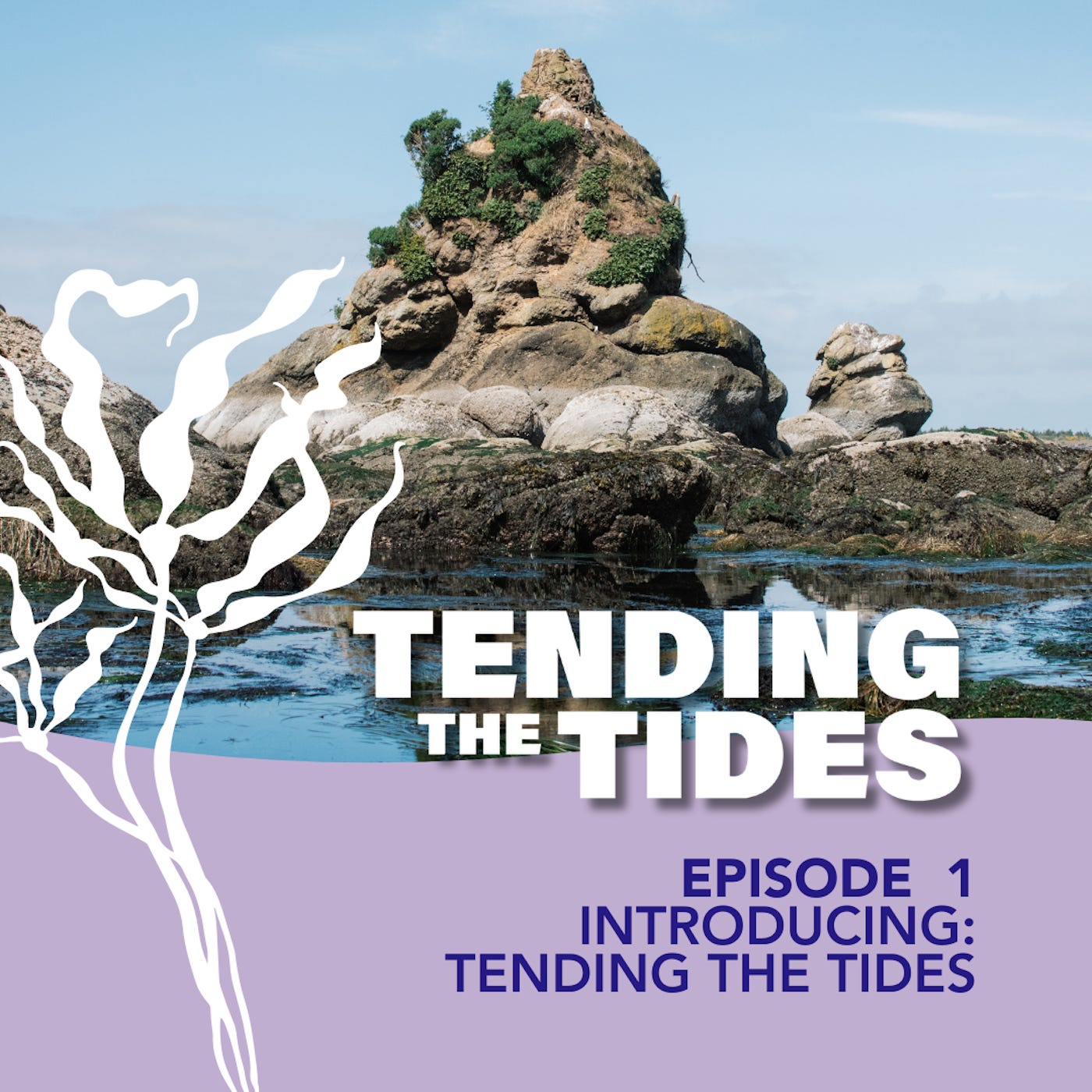 Episode 1: Introducing Tending the Tides Episode 1: Introducing Tending the Tides