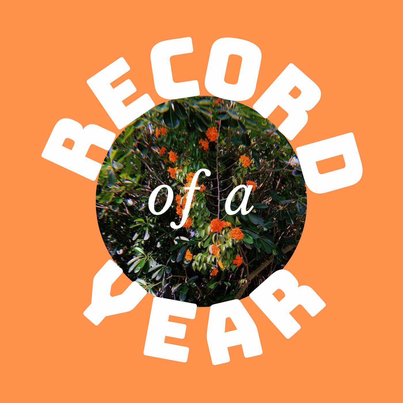 Record of a Year cover art