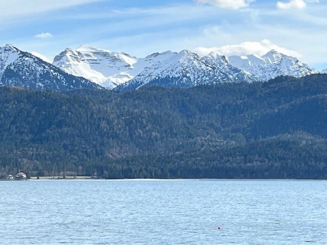 White Rose Histories