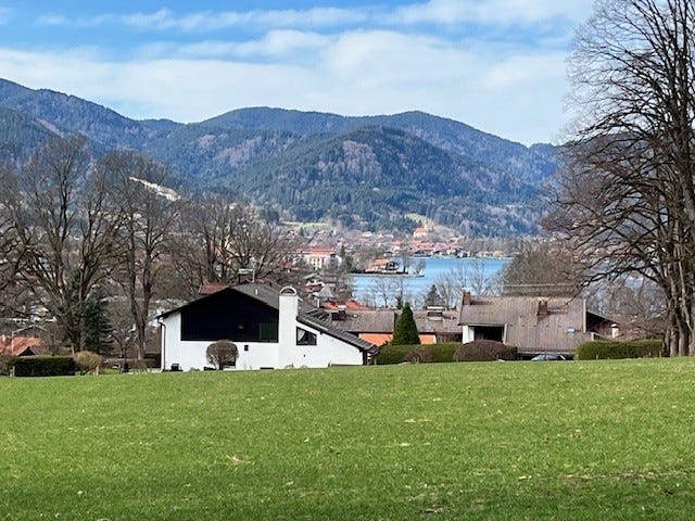 White Rose Histories