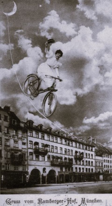 White Rose Histories