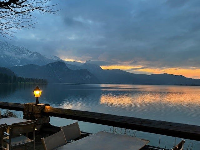 White Rose Histories