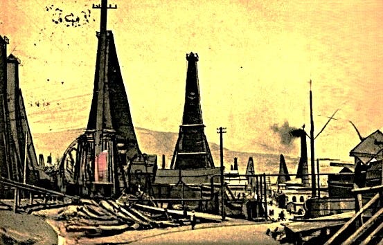 White Rose Histories