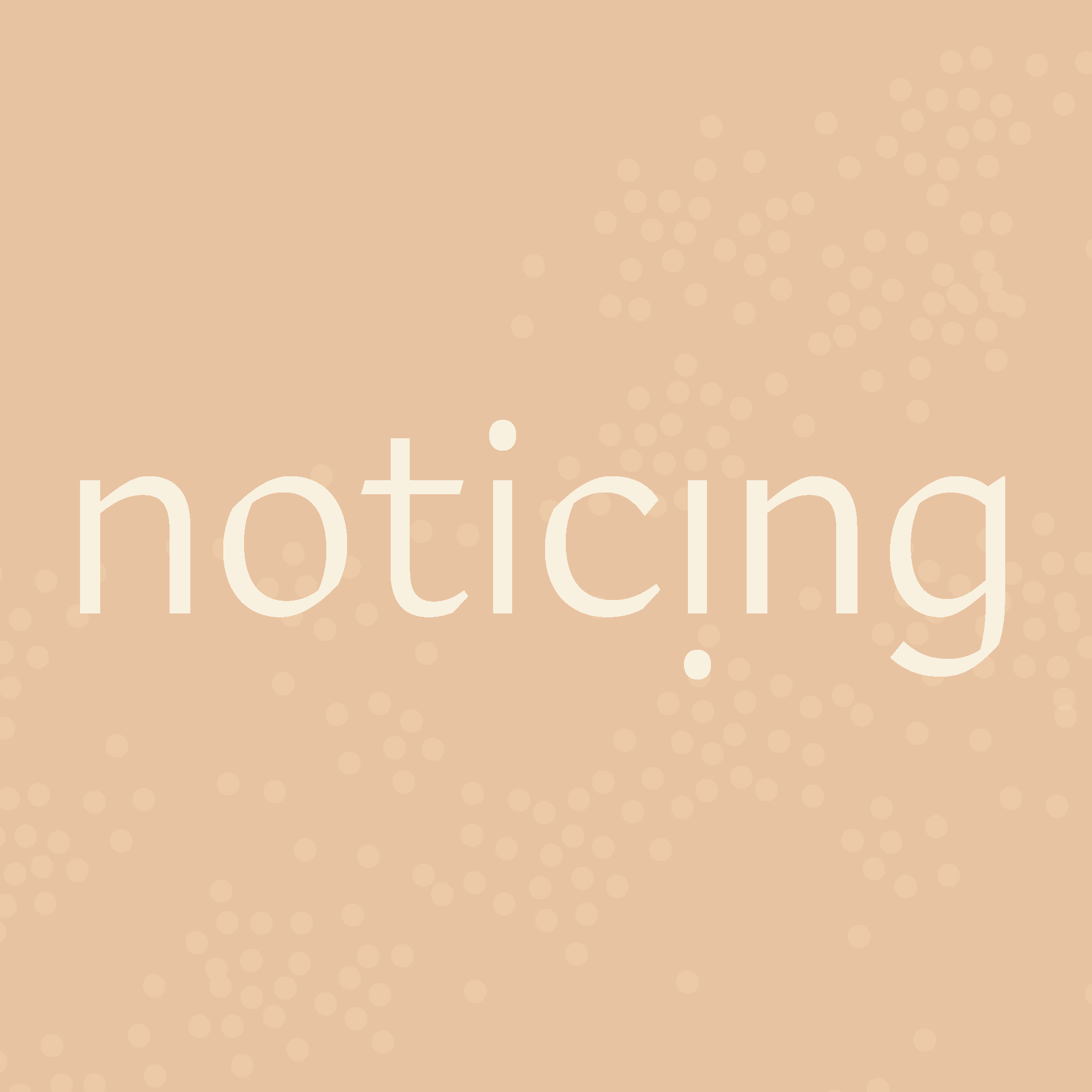 Noticing: A Podcast About Nothing & Everything At The Same Time