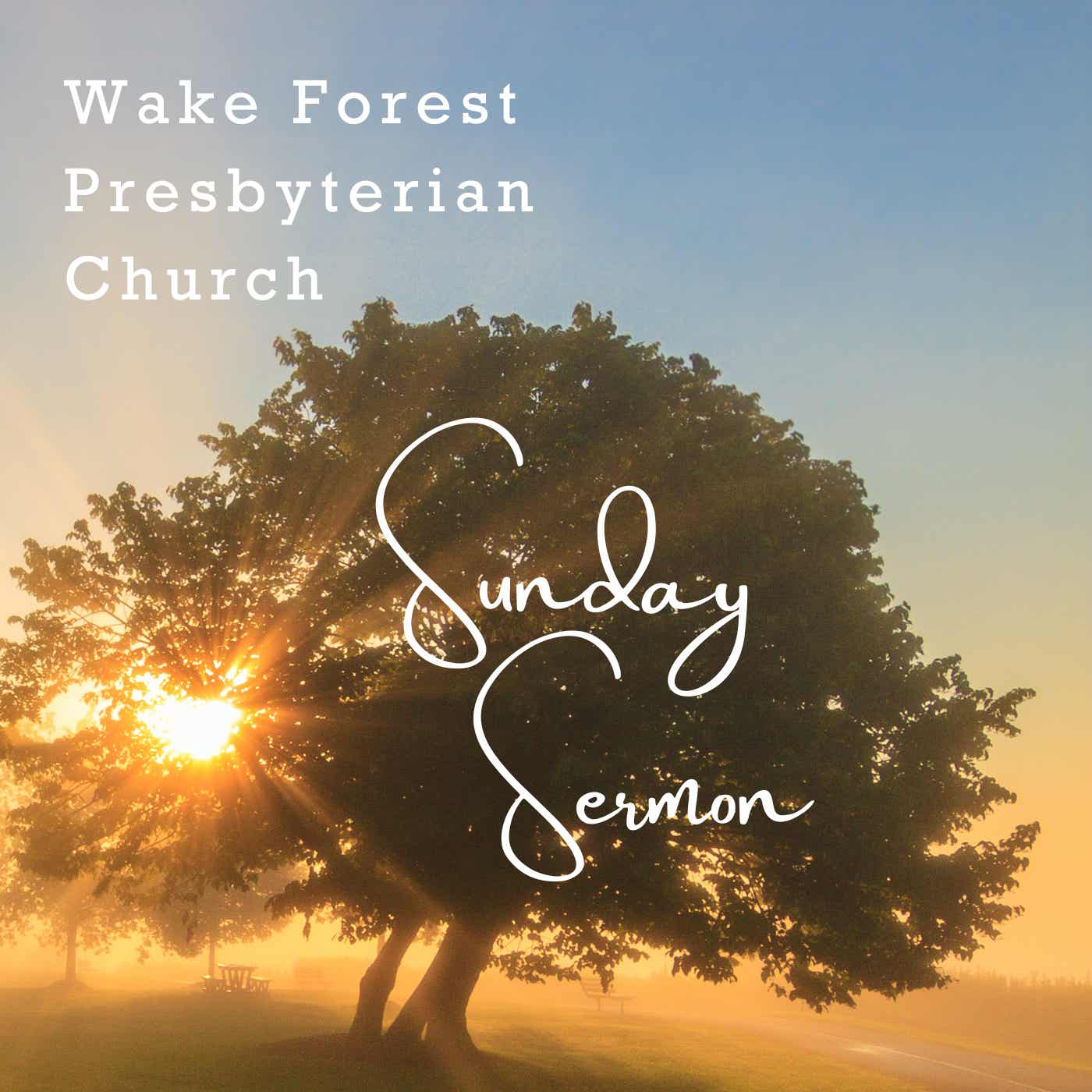 Weekly Sermon audio cover art