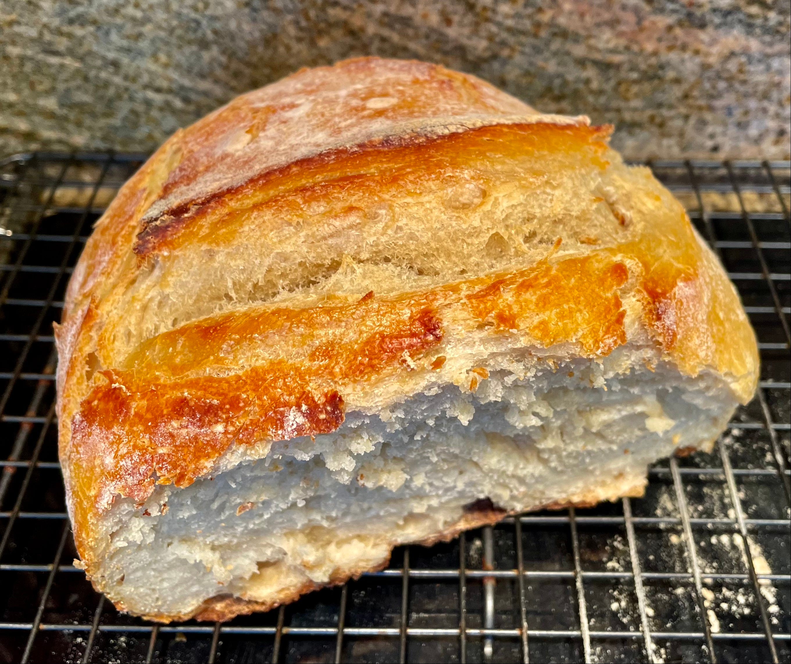 Sourdough Bread, Lung Weight Lifting and Fractionating Your Life, VEN Podcast 1 episode artwork