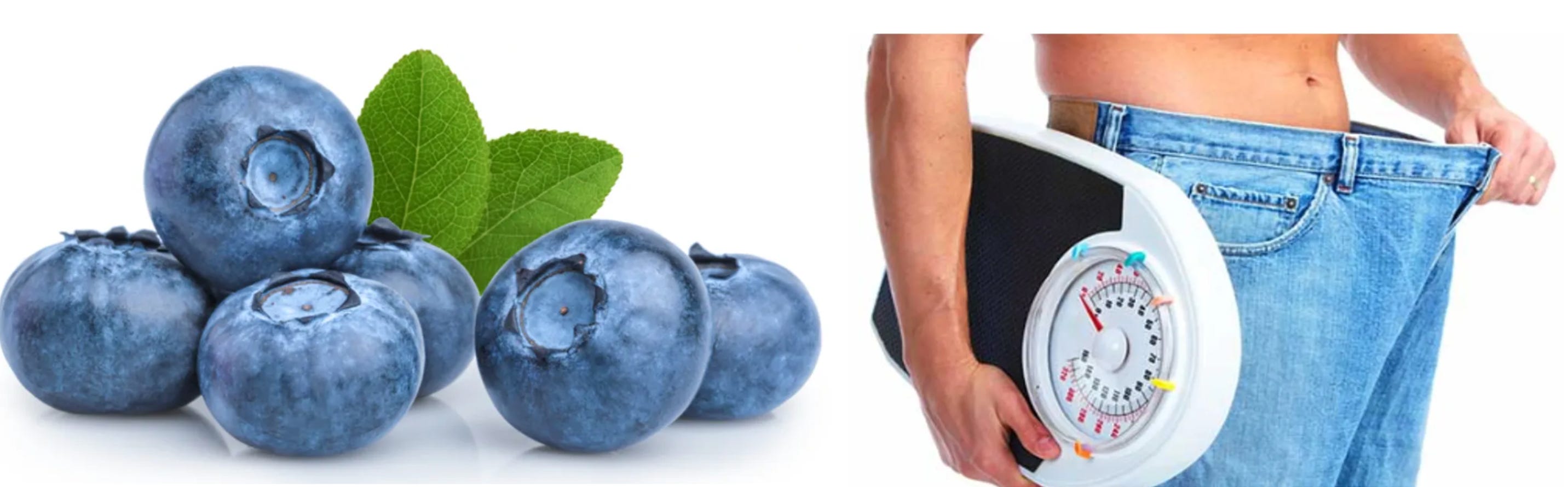 Blueberries Boost Your Brain and Why a High Body Fat Percentage Correlates with a Higher Risk of Dying episode artwork